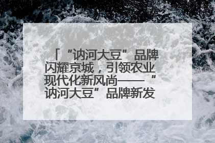 “讷河大豆”品牌闪耀京城，引领农业现代化新风尚——“讷河大豆”品牌新发地推介会圆满落幕