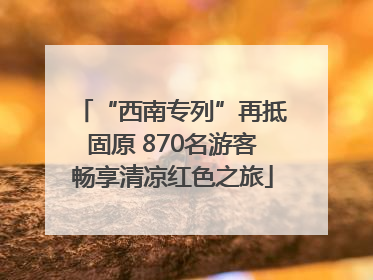 “西南专列”再抵固原 870名游客畅享清凉红色之旅