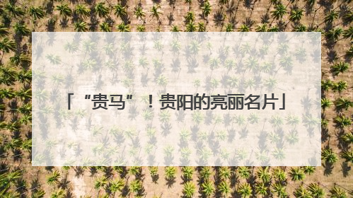“贵马”！贵阳的亮丽名片