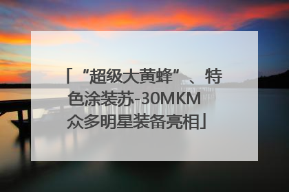 “超级大黄蜂”、特色涂装苏-30MKM 众多明星装备亮相