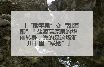 “酸苹果”变“甜酒酿”！盐源高原果的华丽转身，靠的是这场浙川千里“联姻”