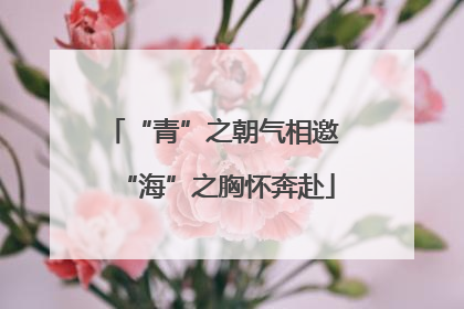“青”之朝气相邀 “海”之胸怀奔赴