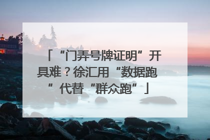 “门弄号牌证明”开具难？徐汇用“数据跑”代替“群众跑”