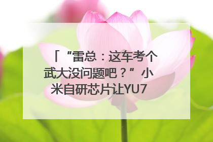 “雷总：这车考个武大没问题吧？”小米自研芯片让YU7会学习｜汽车科技