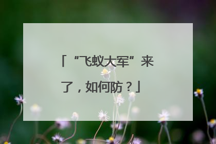 “飞蚁大军”来了，如何防？