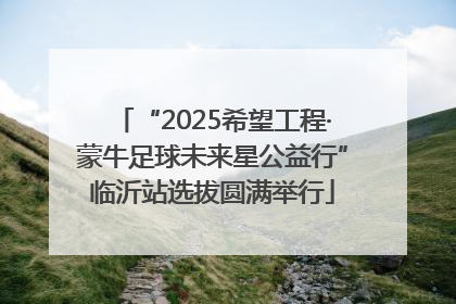 “2025希望工程·蒙牛足球未来星公益行”临沂站选拔圆满举行