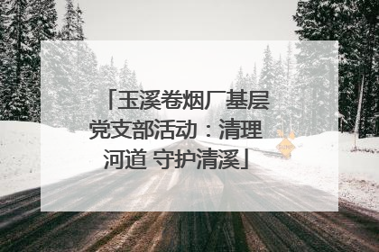 玉溪卷烟厂基层党支部活动：清理河道 守护清溪