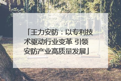 王力安防：以专利技术驱动行业变革 引领安防产业高质量发展