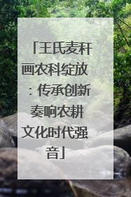 王氏麦秆画农科绽放：传承创新 奏响农耕文化时代强音