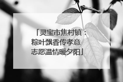 灵宝市焦村镇：粽叶飘香传孝意 志愿温情暖夕阳