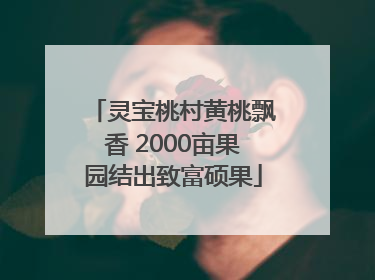 灵宝桃村黄桃飘香 2000亩果园结出致富硕果