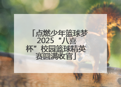 点燃少年篮球梦 2025“八喜杯”校园篮球精英赛圆满收官