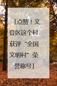 点赞！文登区这个村获评“全国文明村”荣誉称号