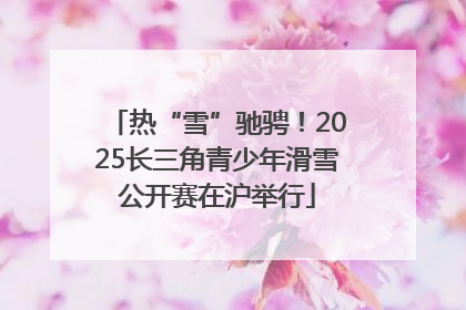 热“雪”驰骋！2025长三角青少年滑雪公开赛在沪举行