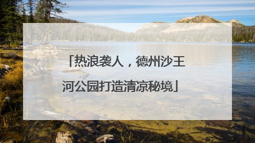 热浪袭人，德州沙王河公园打造清凉秘境