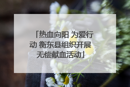 热血向阳 为爱行动 衡东县组织开展无偿献血活动