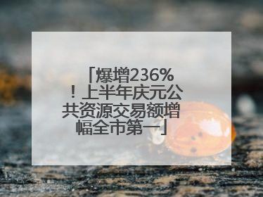 爆增236%！上半年庆元公共资源交易额增幅全市第一