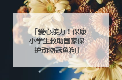 爱心接力！保康小学生救助国家保护动物冠鱼狗