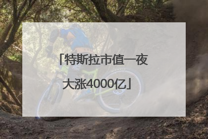 特斯拉市值一夜大涨4000亿
