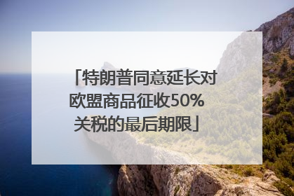 特朗普同意延长对欧盟商品征收50%关税的最后期限