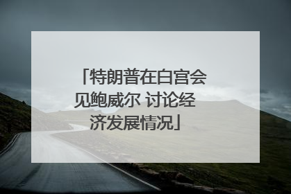特朗普在白宫会见鲍威尔 讨论经济发展情况
