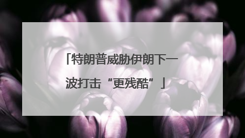 特朗普威胁伊朗下一波打击“更残酷”