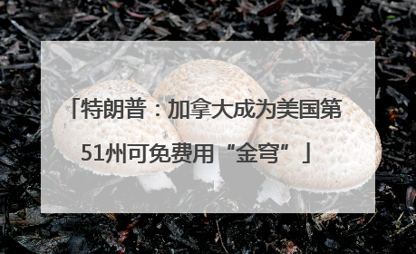 特朗普：加拿大成为美国第51州可免费用“金穹”