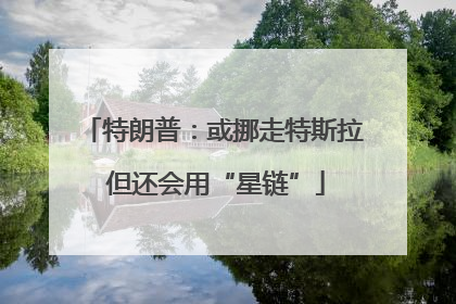 特朗普：或挪走特斯拉 但还会用“星链”