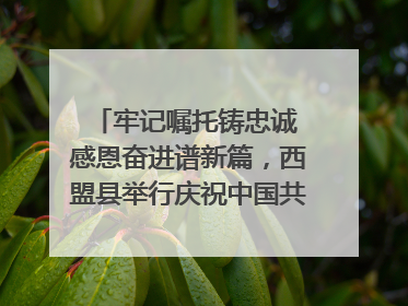 牢记嘱托铸忠诚 感恩奋进谱新篇，西盟县举行庆祝中国共产党成立104周年文艺晚会