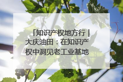 知识产权地方行｜大庆油田：在知识产权中洞见老工业基地的 “创新密码”