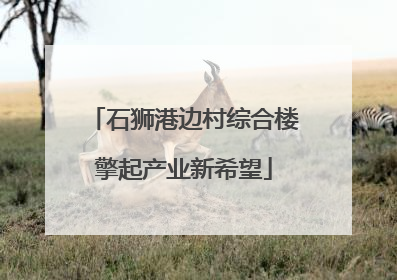石狮港边村综合楼擎起产业新希望