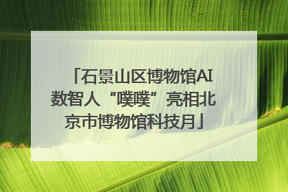 石景山区博物馆AI数智人“噗噗”亮相北京市博物馆科技月