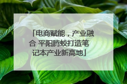 电商赋能，产业融合 平阳腾蛟打造笔记本产业新高地