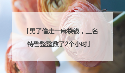 男子偷走一麻袋钱，三名特警整整数了2个小时