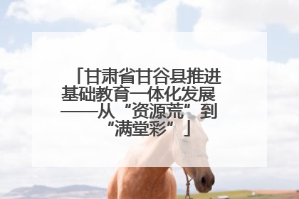 甘肃省甘谷县推进基础教育一体化发展——从“资源荒”到“满堂彩”
