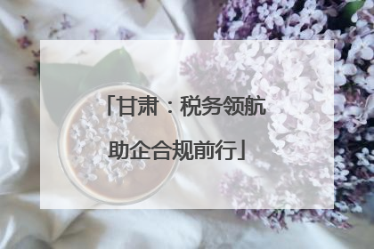 甘肃：税务领航 助企合规前行