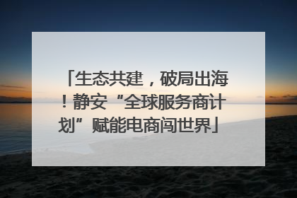 生态共建，破局出海！静安“全球服务商计划”赋能电商闯世界