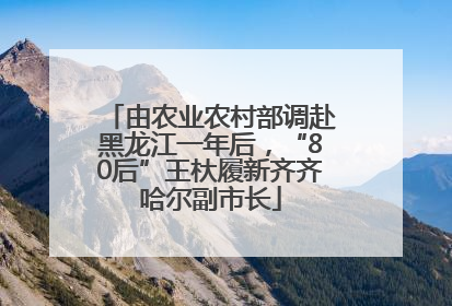 由农业农村部调赴黑龙江一年后，“80后”王杕履新齐齐哈尔副市长