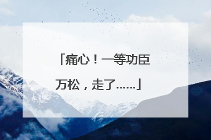 痛心！一等功臣万松，走了……