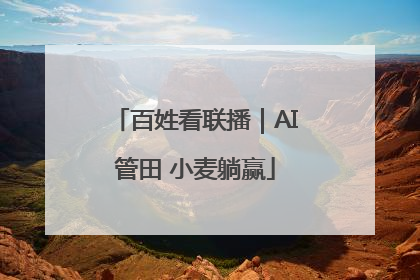 百姓看联播｜AI管田 小麦躺赢
