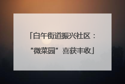白午街道振兴社区：“微菜园”喜获丰收