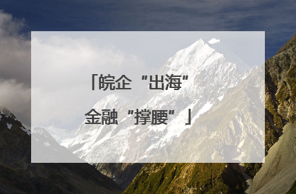 皖企“出海” 金融“撑腰”