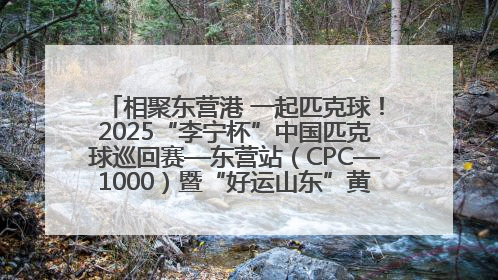 相聚东营港 一起匹克球！2025“李宁杯”中国匹克球巡回赛—东营站（CPC—1000）暨“好运山东”黄河口匹克球公开赛落幕