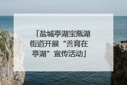 盐城亭湖宝瓶湖街道开展“善育在亭湖”宣传活动