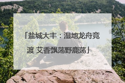 盐城大丰：湿地龙舟竞渡 艾香飘荡野鹿荡