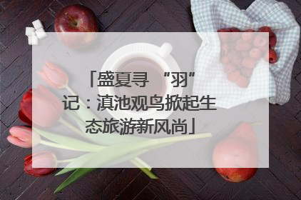 盛夏寻 “羽” 记：滇池观鸟掀起生态旅游新风尚