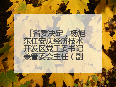 省委决定，杨旭东任安庆经济技术开发区党工委书记兼管委会主任（副厅级）