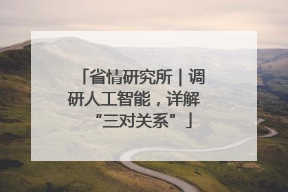 省情研究所｜调研人工智能，详解“三对关系”