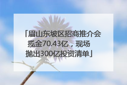眉山东坡区招商推介会揽金70.43亿，现场抛出300亿投资清单