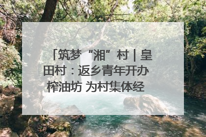 筑梦“湘”村｜皇田村：返乡青年开办榨油坊 为村集体经济“加油”